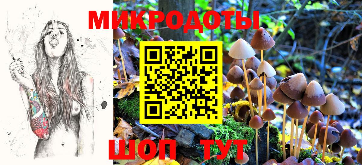 купить   Галлюциногенные грибы MAGIC MUSHROOMS  Верхний Уфалей  Вход с VPN  Псилоцибиновые грибы мицелий 