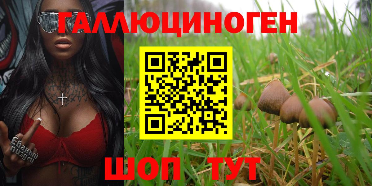 Псилоцибиновые грибы MAGIC MUSHROOMS Верхний Уфалей